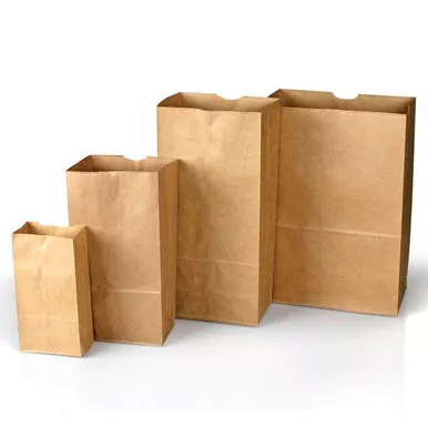 Lightning Powder Plain Paper Evidence Bags (100 Pack)