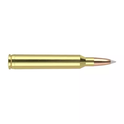 Nosler 7mm STW Trophy Grade 160 grain Nosler AccuBond ammunition
