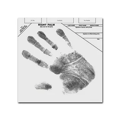 Sirchie AP112 Diagonal Palm Print Record Cards, 8" x 8", 100 Pack